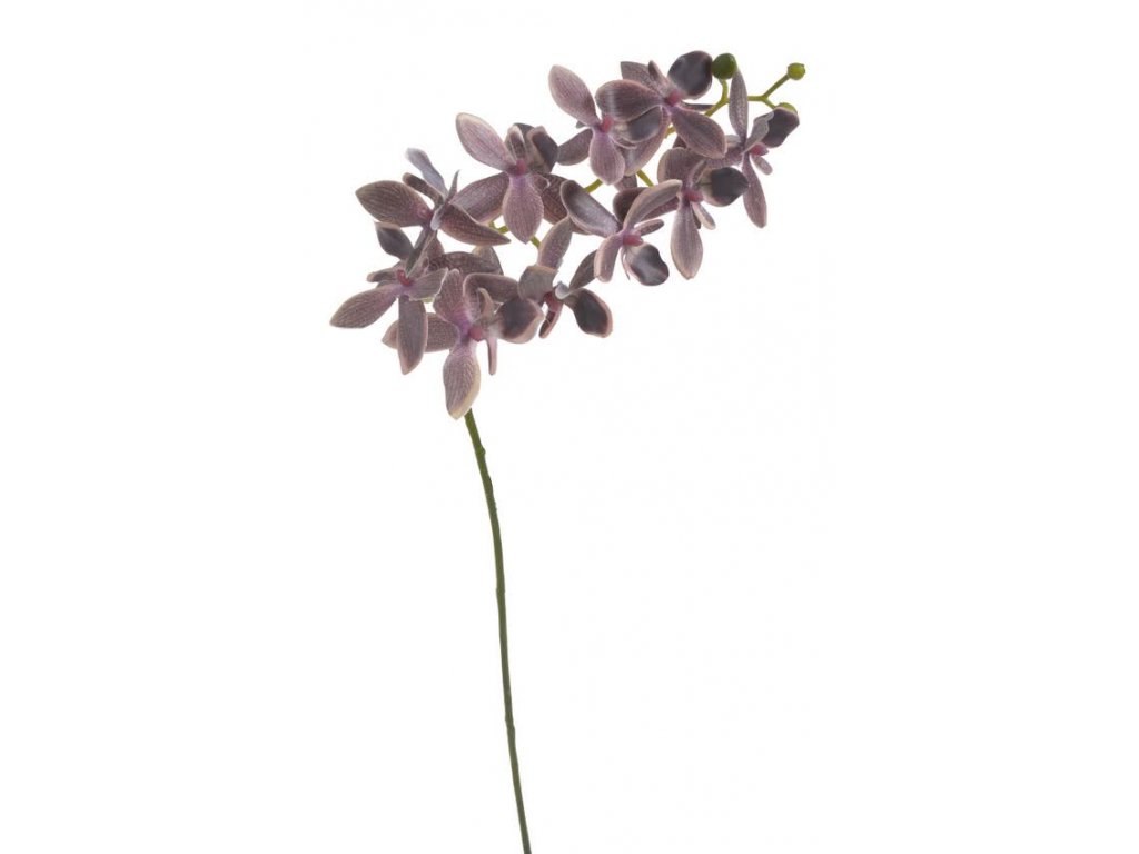 Umělá orchidej květy 60 cm